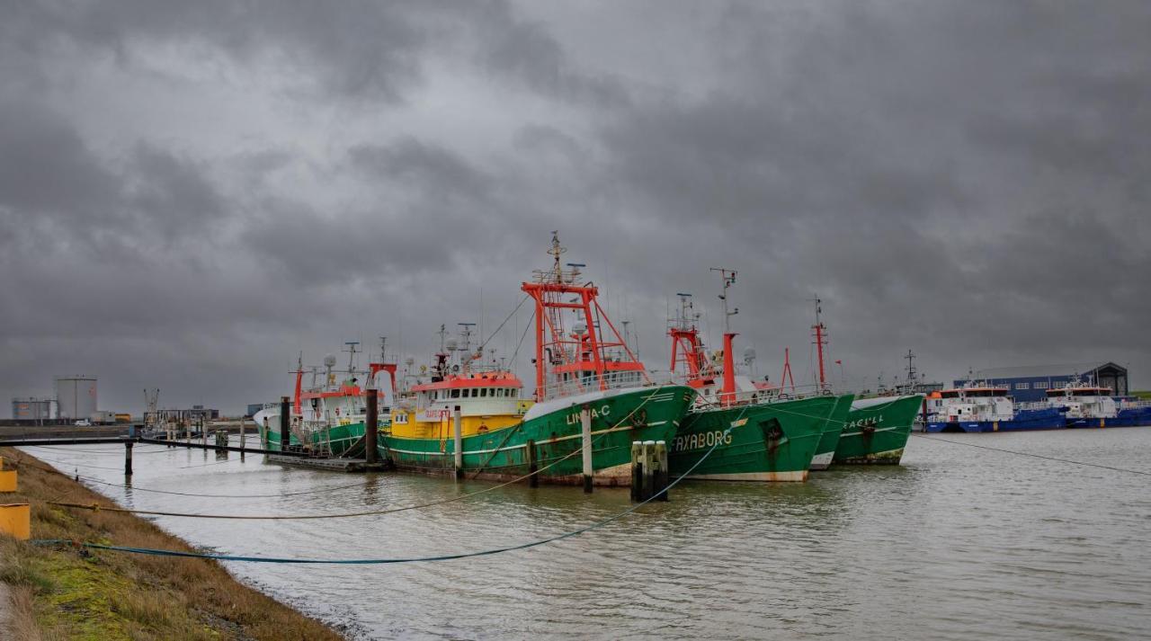 Schierzicht Logement Lauwersoog Kültér fotó