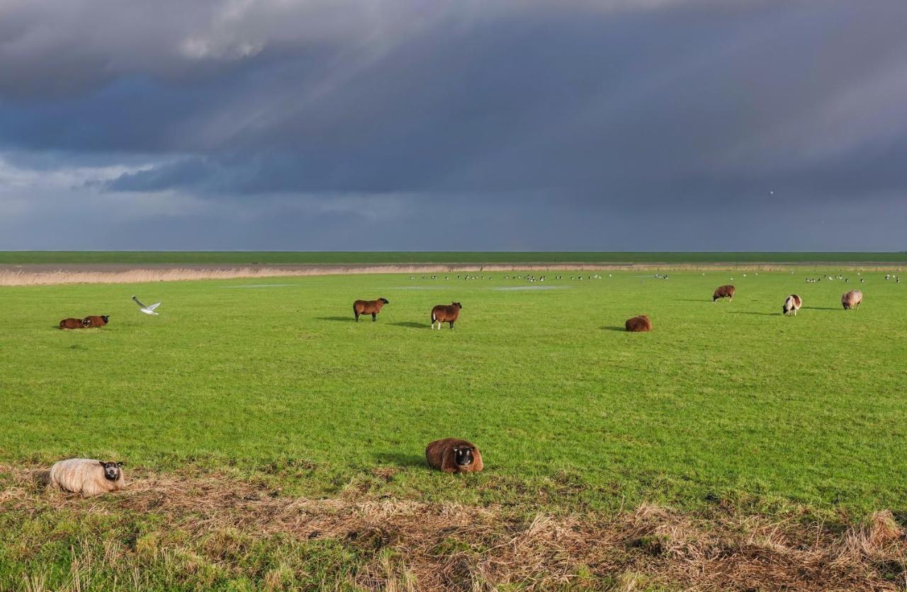 Schierzicht Logement Lauwersoog Kültér fotó